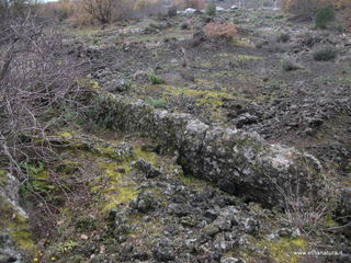 Grotta Pisciteddu